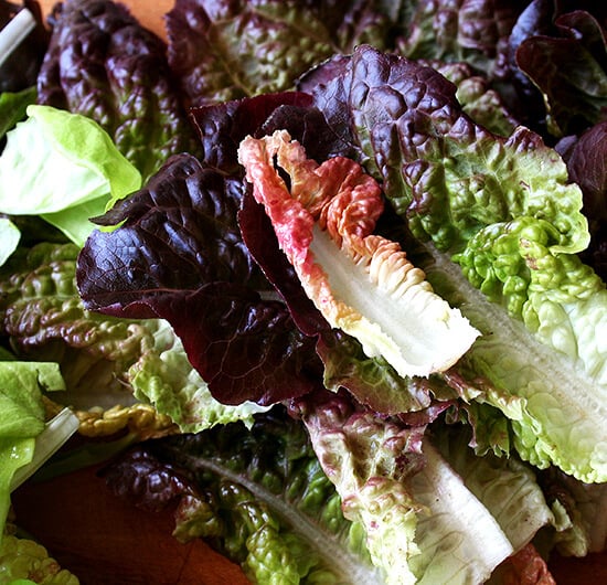 Red Lettuce Red Lettuce