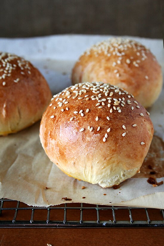 hamburger buns hamburger buns