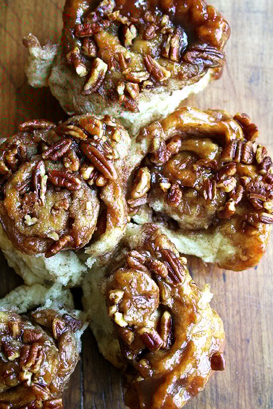 cinnamon rolls cinnamon rolls