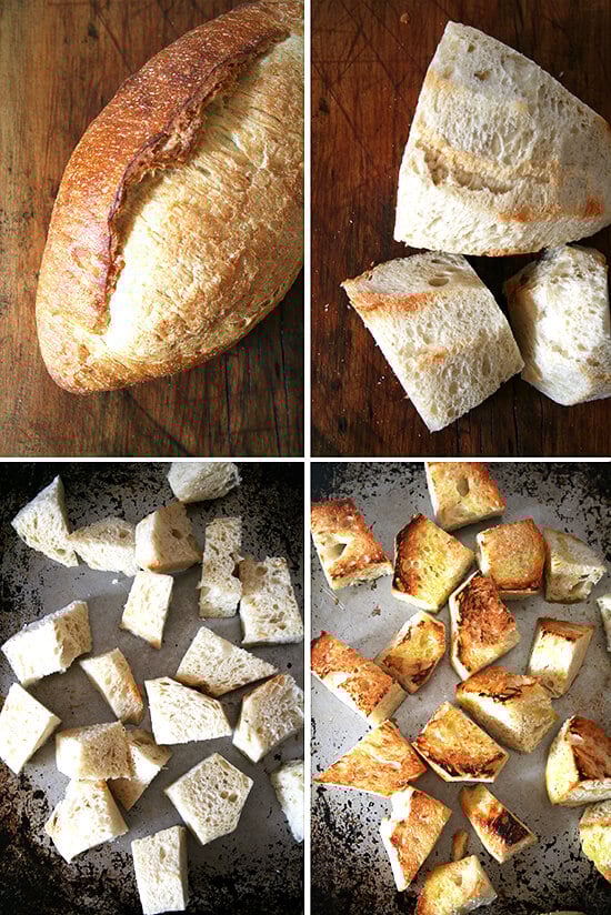 bread for bread salad bread for bread salad