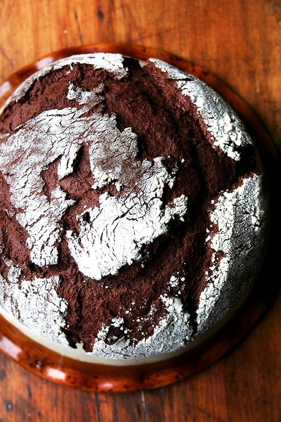 chocolate bread, baked chocolate bread, baked