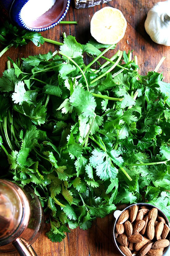 cilantro pesto ingredients