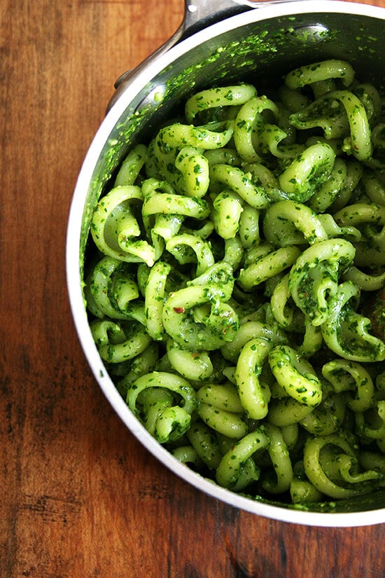 pesto pasta