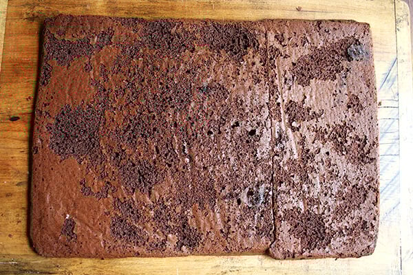 soft chocolate cookie, ready to be cut soft chocolate cookie, ready to be cut