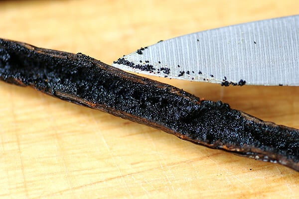 vanilla caviar vanilla caviar