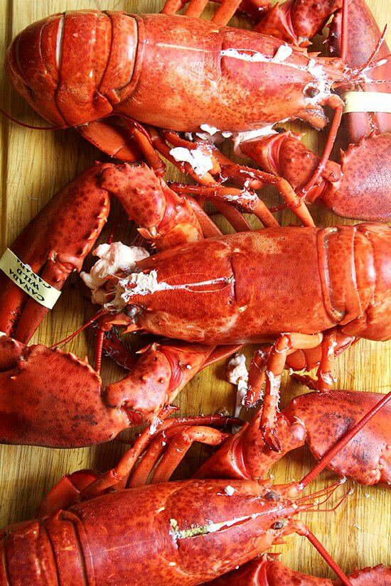 lobsters lobsters