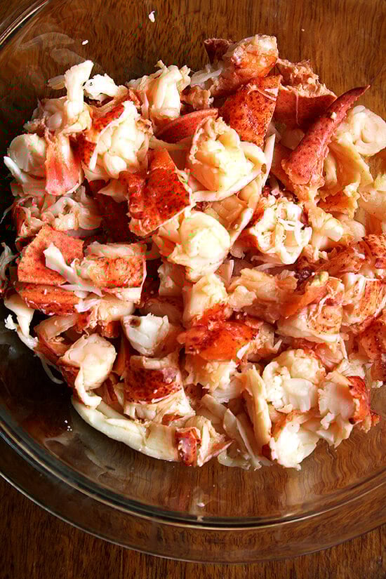 lobster meat lobster meat