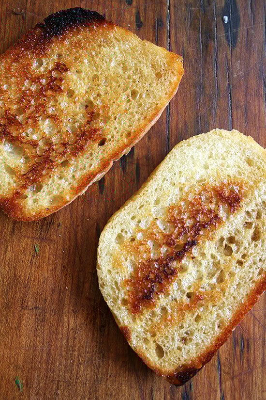 butter-toasted bread slices butter-toasted bread slices