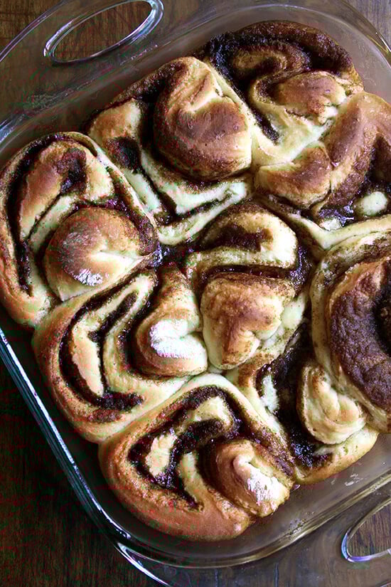cinnamon rolls, just baked cinnamon rolls, just baked