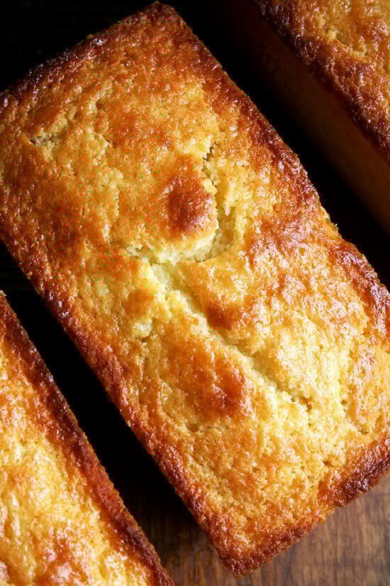 orange-ricotta loaves orange-ricotta loaves