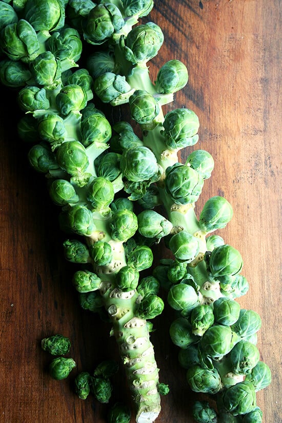 ina garten's balsamic brussels sprouts // philadelphia fish house ina garten's balsamic brussels sprouts // philadelphia fish house